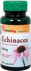 Echinacea 250mg (90) Bíbor kasvirág Vitaking