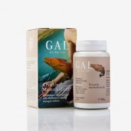GAL Kreatin-Monohidrát 90g