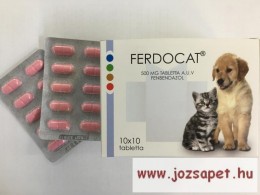 Ferdocat Ferdocat tabletta 20db 500mg