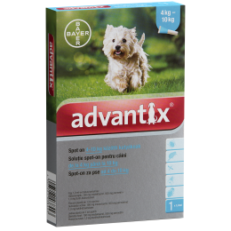 Advantix spot-on cseppek kutyának 4-10 kg 1x1ml