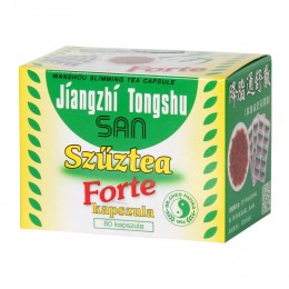 DR.CHEN Szűztea kapszula forte (Jiangzhi T.) 80x