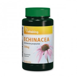 Vitaking Echinacea (Bíbor kasvirág) kapszula 90db