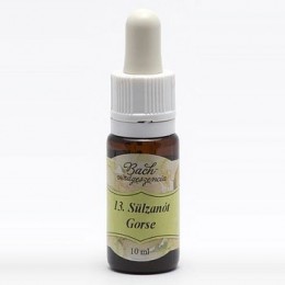 Bach virágterápia , 10 ml - Sülzanót, a remény virága - 13-as