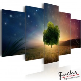 ArtGeist sp. z o o. Kép - Starry Nights