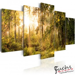 ArtGeist sp. z o o. Kép - Magic of Forest