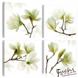 ArtGeist sp. z o o. Kép - Admiration of Magnolia