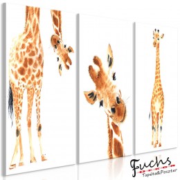 ArtGeist sp. z o o. Kép - Funny Giraffes (3 Parts)