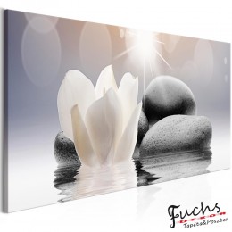 ArtGeist sp. z o o. Kép - Pebbles in Water (1 Part) Narrow