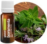 Gladoil 100% tisztaságú illóolaj, 10 ml - Borsmenta