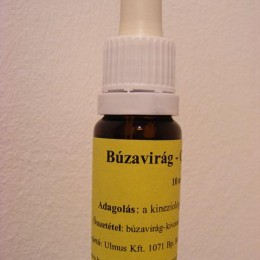 Bach virágterápia Búzavirág (3. Cornflower) Maui virágeszencia - 10 ml