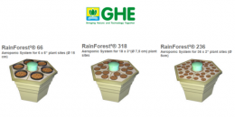GHE RainForest2 318
