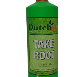 Dutch Pro Take Root