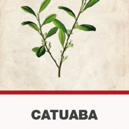 Catuaba (Trichilia catigua) kéreg