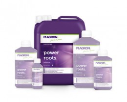 Plagron Power Roots