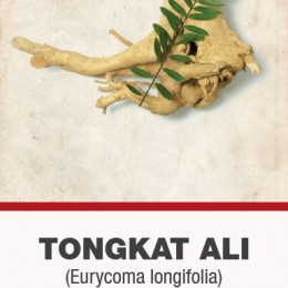 Tongkat Ali (Eurycoma longifolia) gyökér aprított