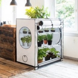 Homebox Ambient Növény sátor
