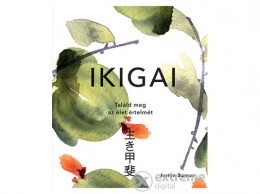 Scolar Kiadó Kft Justyn Barnes - Ikigai