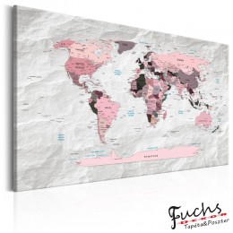 ArtGeist sp. z o o. Kép - World Map: Pink Continents