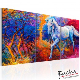ArtGeist sp. z o o. Kép - Valley of Fantasy