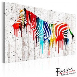 ArtGeist sp. z o o. Kép - Colourful Zebra