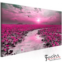 ArtGeist sp. z o o. Kép - Lilies and Sunset (1 Part) Narrow