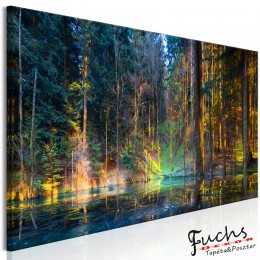 ArtGeist sp. z o o. Kép - Pond in the Forest (1 Part) Narrow