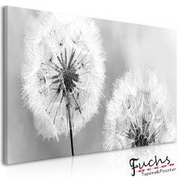 ArtGeist sp. z o o. Kép - Fluffy Dandelions (1 Part) Grey Wide
