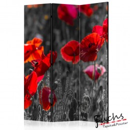 ArtGeist sp. z o o. Paraván - Red Poppies [Room Dividers]