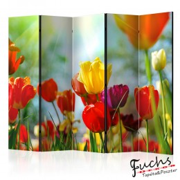 Paraván - Spring Tulips II [Room Dividers]