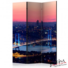 ArtGeist sp. z o o. Paraván - Bosphorus Bridge [Room Dividers]