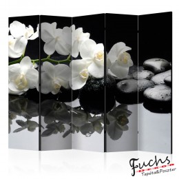 Paraván - Spa, Stones and Orchid II [Room Dividers]