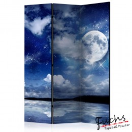 ArtGeist sp. z o o. Paraván - Magic Night [Room Dividers]