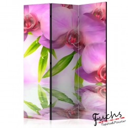 ArtGeist sp. z o o. Paraván - Orchid Spa [Room Dividers]