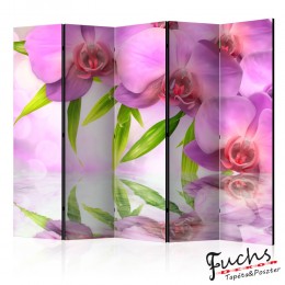 Paraván - Orchid Spa II [Room Dividers]