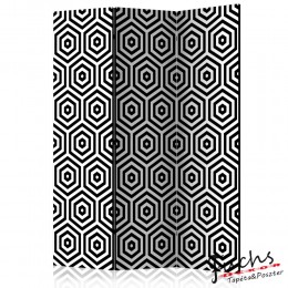 ArtGeist sp. z o o. Paraván - Black and White Hypnosis [Room Dividers]