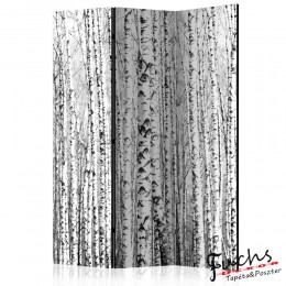 ArtGeist sp. z o o. Paraván - Birch forest [Room Dividers]