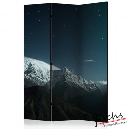 ArtGeist sp. z o o. Paraván - Northern lights [Room Dividers]