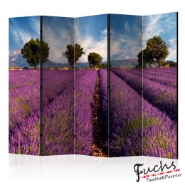 Paraván - Lavender field in Provence, France [Room Dividers]