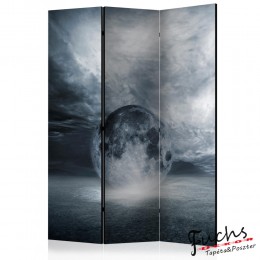 ArtGeist sp. z o o. Paraván - The lost planet [Room Dividers]