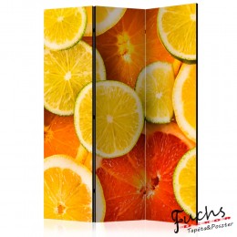 ArtGeist sp. z o o. Paraván - Citrus fruits [Room Dividers]
