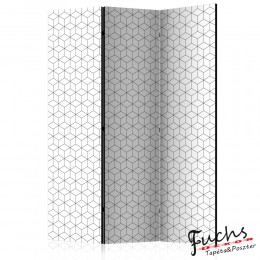 ArtGeist sp. z o o. Paraván - Cubes - texture [Room Dividers]