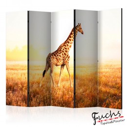 Paraván - giraffe - walk [Room Dividers]