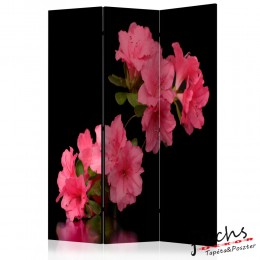 ArtGeist sp. z o o. Paraván - Azalea in Black [Room Dividers]