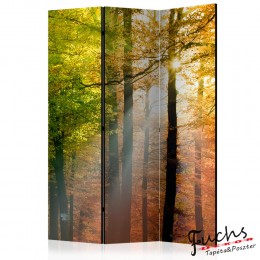 ArtGeist sp. z o o. Paraván - Forest Colours [Room Dividers]