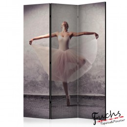 ArtGeist sp. z o o. Paraván - Classical dance - poetry without words [Room Dividers]
