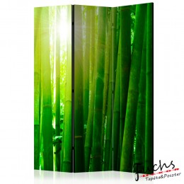 ArtGeist sp. z o o. Paraván - Sun and bamboo [Room Dividers]