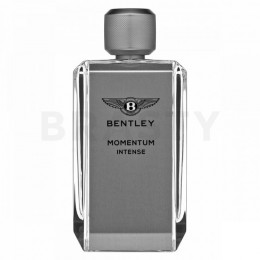 Bentley Bentley Bentley Momentum Intense Eau de Parfum férfiaknak 100 ml