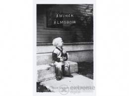 Athenaeum 2000 David Lynch - Aminek álmodom