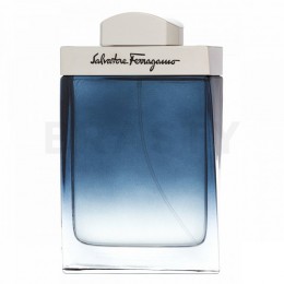 Salvatore Ferragamo Subtil Pour Homme Eau de Toilette férfiaknak 100 ml