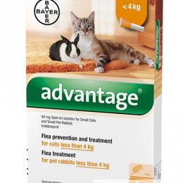 Advantage macskáknak és nyulaknak 4ml 4kg alatt, 4 pipetta